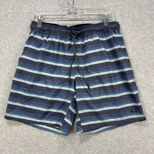 Fish Hippie Volley Shorts Mens Large Blue Stripe Tropical Hybrid Lined Surf Swim
